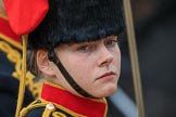 during The Colonel's Review {iptcyear4} (final rehearsal for Trooping the Colour, The Queen's Birthday Parade)  at Horse Guards Parade, Westminster, London, 2 June 2018, 11:57.