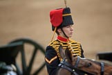 during The Colonel's Review {iptcyear4} (final rehearsal for Trooping the Colour, The Queen's Birthday Parade)  at Horse Guards Parade, Westminster, London, 2 June 2018, 12:02.