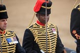 during The Colonel's Review {iptcyear4} (final rehearsal for Trooping the Colour, The Queen's Birthday Parade)  at Horse Guards Parade, Westminster, London, 2 June 2018, 12:02.