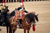 during The Colonel's Review {iptcyear4} (final rehearsal for Trooping the Colour, The Queen's Birthday Parade)  at Horse Guards Parade, Westminster, London, 2 June 2018, 12:03.