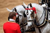 during The Colonel's Review {iptcyear4} (final rehearsal for Trooping the Colour, The Queen's Birthday Parade)  at Horse Guards Parade, Westminster, London, 2 June 2018, 12:13.