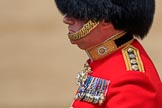 during The Colonel's Review {iptcyear4} (final rehearsal for Trooping the Colour, The Queen's Birthday Parade)  at Horse Guards Parade, Westminster, London, 2 June 2018, 12:14.