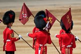 during The Colonel's Review {iptcyear4} (final rehearsal for Trooping the Colour, The Queen's Birthday Parade)  at Horse Guards Parade, Westminster, London, 2 June 2018, 12:18.