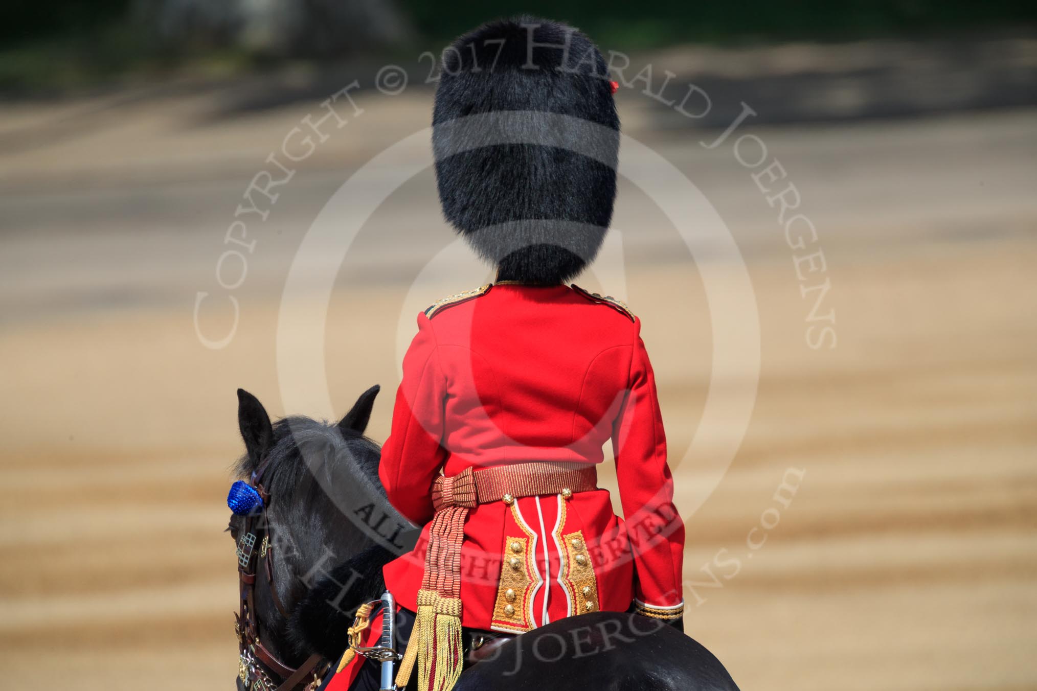 The Parade Adjutant, Captain HC Codrington, Coldstream Guards (30) riding out onto Horse Guards Parade during Trooping the Colour 2018, The Queen's Birthday Parade at Horse Guards Parade, Westminster, London, 9 June 2018, 10:36.