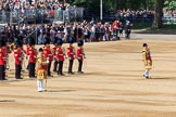 during Trooping the Colour {iptcyear4}, The Queen's Birthday Parade at Horse Guards Parade, Westminster, London, 9 June 2018, 10:30.