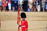 during Trooping the Colour {iptcyear4}, The Queen's Birthday Parade at Horse Guards Parade, Westminster, London, 9 June 2018, 11:15.