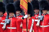 during Trooping the Colour {iptcyear4}, The Queen's Birthday Parade at Horse Guards Parade, Westminster, London, 9 June 2018, 11:29.