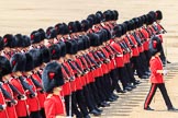 during Trooping the Colour {iptcyear4}, The Queen's Birthday Parade at Horse Guards Parade, Westminster, London, 9 June 2018, 11:38.