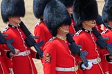 during Trooping the Colour {iptcyear4}, The Queen's Birthday Parade at Horse Guards Parade, Westminster, London, 9 June 2018, 11:39.