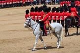 during Trooping the Colour {iptcyear4}, The Queen's Birthday Parade at Horse Guards Parade, Westminster, London, 9 June 2018, 11:41.