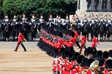 during Trooping the Colour {iptcyear4}, The Queen's Birthday Parade at Horse Guards Parade, Westminster, London, 9 June 2018, 11:44.