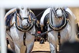 during Trooping the Colour {iptcyear4}, The Queen's Birthday Parade at Horse Guards Parade, Westminster, London, 9 June 2018, 12:13.