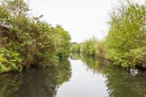 BCN 24h Marathon Challenge 2015: Icknield Port Loop looking green and remote, with the remains of the old industry out of view.
Birmingham Canal Navigations,



on 23 May 2015 at 08:44, image #11