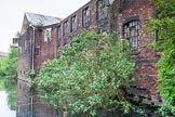 BCN 24h Marathon Challenge 2015: Trees growing out of the walls of an old factory on the BCN Engine Arm.
Birmingham Canal Navigations,



on 23 May 2015 at 10:43, image #70