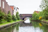 BCN 24h Marathon Challenge 2015: Engine Bridge, on the BCN Engine Arm, looking towards the terminus. The former pub on the left seems to be in a ppor state..
Birmingham Canal Navigations,



on 23 May 2015 at 10:46, image #75