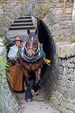 : Sue Day (Horseboating Society) with horse Bilbo walking through the horse tunnel of Marple lock 13..




on 03 July 2015 at 17:42, image #84