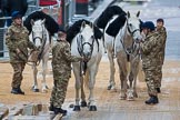 Lord Mayor's Show 2012: The four white Household Cavalry horses that had brought the State Trumpeters to the event..
Press stand opposite Mansion House, City of London,
London,
Greater London,
United Kingdom,
on 10 November 2012 at 10:07, image #24