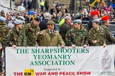 Lord Mayor's Show 2012: Entry 75 - Royal Yeomanry..
Press stand opposite Mansion House, City of London,
London,
Greater London,
United Kingdom,
on 10 November 2012 at 11:33, image #949