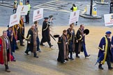 Lord Mayor's Show 2012: Entrry 104 - Modern Livery Companies, representing 26 Livery Companies..
Press stand opposite Mansion House, City of London,
London,
Greater London,
United Kingdom,
on 10 November 2012 at 11:51, image #1431