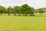 The Light Cavalry HAC Annual Review and Inspection 2013.
Windsor Great Park Review Ground,
Windsor,
Berkshire,
United Kingdom,
on 09 June 2013 at 10:34, image #47