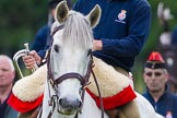 The Light Cavalry HAC Annual Review and Inspection 2013.
Windsor Great Park Review Ground,
Windsor,
Berkshire,
United Kingdom,
on 09 June 2013 at 10:40, image #62