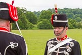 The Light Cavalry HAC Annual Review and Inspection 2013.
Windsor Great Park Review Ground,
Windsor,
Berkshire,
United Kingdom,
on 09 June 2013 at 12:15, image #160