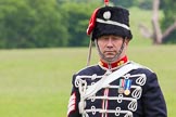 The Light Cavalry HAC Annual Review and Inspection 2013.
Windsor Great Park Review Ground,
Windsor,
Berkshire,
United Kingdom,
on 09 June 2013 at 12:30, image #181