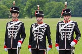 The Light Cavalry HAC Annual Review and Inspection 2013.
Windsor Great Park Review Ground,
Windsor,
Berkshire,
United Kingdom,
on 09 June 2013 at 12:30, image #184