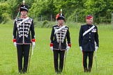 The Light Cavalry HAC Annual Review and Inspection 2013.
Windsor Great Park Review Ground,
Windsor,
Berkshire,
United Kingdom,
on 09 June 2013 at 12:30, image #195