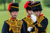 The Light Cavalry HAC Annual Review and Inspection 2013.
Windsor Great Park Review Ground,
Windsor,
Berkshire,
United Kingdom,
on 09 June 2013 at 12:32, image #226