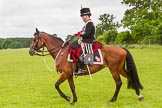 The Light Cavalry HAC Annual Review and Inspection 2013.
Windsor Great Park Review Ground,
Windsor,
Berkshire,
United Kingdom,
on 09 June 2013 at 12:37, image #233