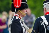 The Light Cavalry HAC Annual Review and Inspection 2013.
Windsor Great Park Review Ground,
Windsor,
Berkshire,
United Kingdom,
on 09 June 2013 at 13:05, image #310