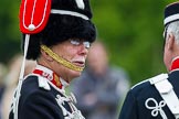 The Light Cavalry HAC Annual Review and Inspection 2013.
Windsor Great Park Review Ground,
Windsor,
Berkshire,
United Kingdom,
on 09 June 2013 at 13:05, image #311