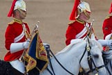 Beating Retreat 2014.
Horse Guards Parade, Westminster,
London SW1A,

United Kingdom,
on 11 June 2014 at 20:17, image #76