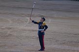 Beating Retreat 2014.
Horse Guards Parade, Westminster,
London SW1A,

United Kingdom,
on 11 June 2014 at 21:20, image #315