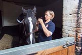 The Light Cavalry HAC Annual Review and Inspection 2014.
Flemish Farm, Windsor Great Park,



on 12 October 2014 at 09:58, image #16