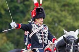 The Light Cavalry HAC Annual Review and Inspection 2014.
Guards Polo Club. Windsor Great Park,



on 12 October 2014 at 13:11, image #202