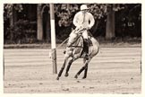 7th Heritage Polo Cup semi-finals: La Golondrina Argentina Pedro Harrison turning his mare back to play..
Hurtwood Park Polo Club,
Ewhurst Green,
Surrey,
United Kingdom,
on 04 August 2012 at 15:47, image #283