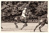 7th Heritage Polo Cup semi-finals: La Golondrina Argentina Pepe Riglos (6)..
Hurtwood Park Polo Club,
Ewhurst Green,
Surrey,
United Kingdom,
on 04 August 2012 at 16:49, image #331