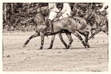 7th Heritage Polo Cup semi-finals: La Golondrina v La Mariposa..
Hurtwood Park Polo Club,
Ewhurst Green,
Surrey,
United Kingdom,
on 04 August 2012 at 16:50, image #333