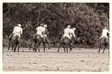 7th Heritage Polo Cup semi-finals: La Golondrina v Mariposa..
Hurtwood Park Polo Club,
Ewhurst Green,
Surrey,
United Kingdom,
on 04 August 2012 at 16:51, image #335