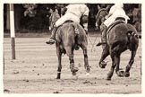 7th Heritage Polo Cup semi-finals: Sebastian Funes v Pepe Riglos..
Hurtwood Park Polo Club,
Ewhurst Green,
Surrey,
United Kingdom,
on 04 August 2012 at 16:56, image #341