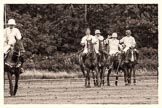 7th Heritage Polo Cup semi-finals: La Golondrina Argentina Pepe Riglos walking back after the game..
Hurtwood Park Polo Club,
Ewhurst Green,
Surrey,
United Kingdom,
on 04 August 2012 at 17:01, image #342