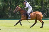 7th Heritage Polo Cup semi-finals: John Martin, Team Silver Fox USA..
Hurtwood Park Polo Club,
Ewhurst Green,
Surrey,
United Kingdom,
on 04 August 2012 at 11:35, image #58