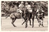 7th Heritage Polo Cup finals: La Mariposa Argentina Sebastian Funes on the ball..
Hurtwood Park Polo Club,
Ewhurst Green,
Surrey,
United Kingdom,
on 05 August 2012 at 13:23, image #20