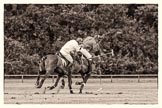 7th Heritage Polo Cup finals: Sebastian Funes and Henry Fisher.
Hurtwood Park Polo Club,
Ewhurst Green,
Surrey,
United Kingdom,
on 05 August 2012 at 13:39, image #39