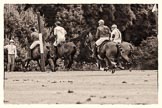 7th Heritage Polo Cup finals: Team Silver Fox USA, Parke Bradley..
Hurtwood Park Polo Club,
Ewhurst Green,
Surrey,
United Kingdom,
on 05 August 2012 at 13:40, image #41