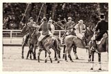 7th Heritage Polo Cup finals: Umpire Oli Hipwood observing all Players in protest..
Hurtwood Park Polo Club,
Ewhurst Green,
Surrey,
United Kingdom,
on 05 August 2012 at 14:10, image #68