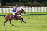 7th Heritage Polo Cup finals: Henry Fisher, Team Silver Fox USA..
Hurtwood Park Polo Club,
Ewhurst Green,
Surrey,
United Kingdom,
on 05 August 2012 at 13:39, image #38