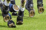 DBPC Polo in the Park 2012: Polo action - hooves..
Dallas Burston Polo Club,
Stoneythorpe Estate,
Southam,
Warwickshire,
United Kingdom,
on 16 September 2012 at 12:03, image #116